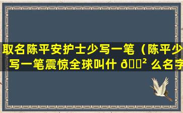 取名陈平安护士少写一笔（陈平少写一笔震惊全球叫什 🌲 么名字）